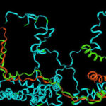 Study: Alpha-synuclein ‘Acts Like a Virus’
